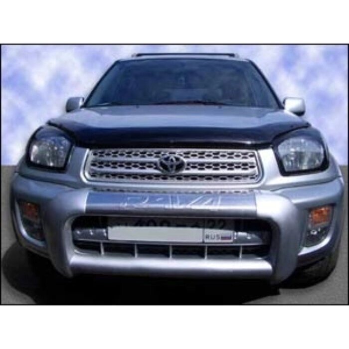 Дефлектор капота темный TOYOTA RAV4 2000-2005, NLD. STORAV0012 от компании Интернет-гипермаркет «MALL24» - фото 1