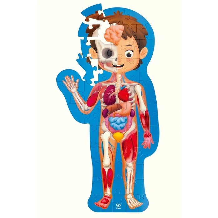 Детский пазл-игрушка "Как устроено тело человека", 60 элементов в кейсе от компании Интернет-гипермаркет «MALL24» - фото 1