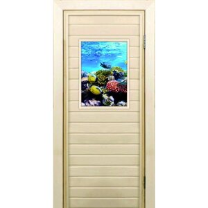 Дверь для бани со стеклом (40*60) Кораллы-2", 19070см, коробка из осины