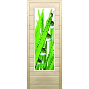 Дверь для бани со стеклом (43*129) Капли", 17070см, коробка из осины