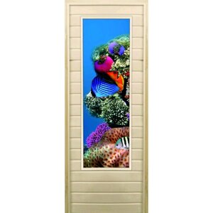 Дверь для бани со стеклом (43*129) Кораллы-1", 17070см, коробка из осины