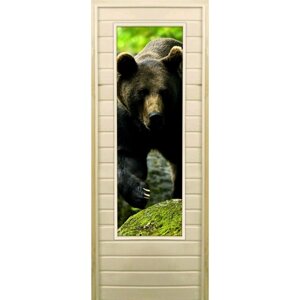 Дверь для бани со стеклом (43*129) Медведь-1", 18070см, коробка из осины
