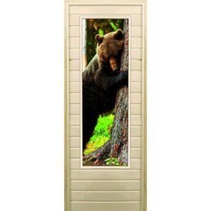 Дверь для бани со стеклом (43*129) Медведь-4", 17070см, коробка из осины