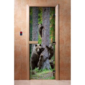 Дверь с фотопечатью, стекло 8 мм, размер коробки 190 70 см, левая, цвет А064