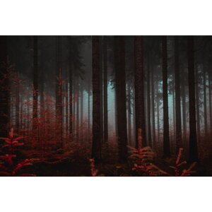 Фотобаннер, 250 150 см, с фотопечатью, люверсы шаг 1 м, "Красный лес"