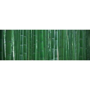 Фотообои "Бамбук" 3-А-343 (1 полотно), 440x150 см