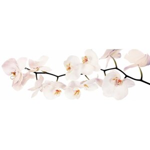 Фотообои "Белая орхидея" 3-А-310 (1 полотно), 440x150 см