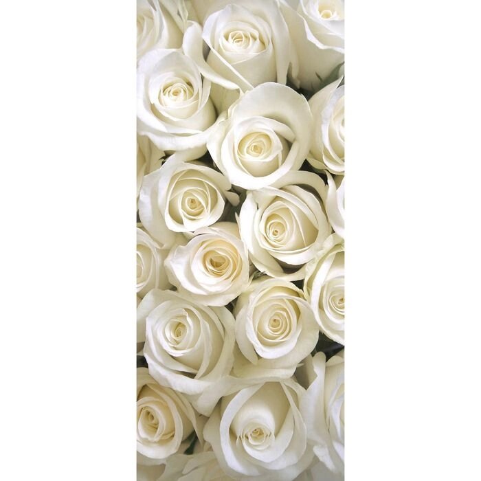 Фотообои "Белые розы" С-052 (1 полотно), 95x220 см от компании Интернет-гипермаркет «MALL24» - фото 1