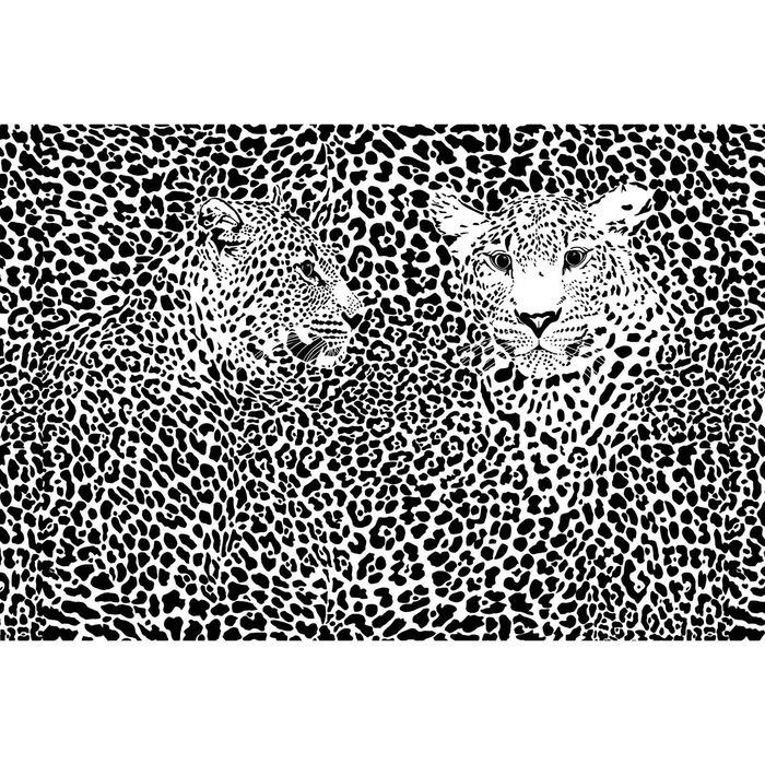 Фотообои "Черно-белые леопарды" M 704 (3 полотна), 300х200 см от компании Интернет-гипермаркет «MALL24» - фото 1