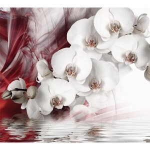 Фотообои флизелиновые Flizetto 3D FUSION "Белая орхидея" 300х270 см