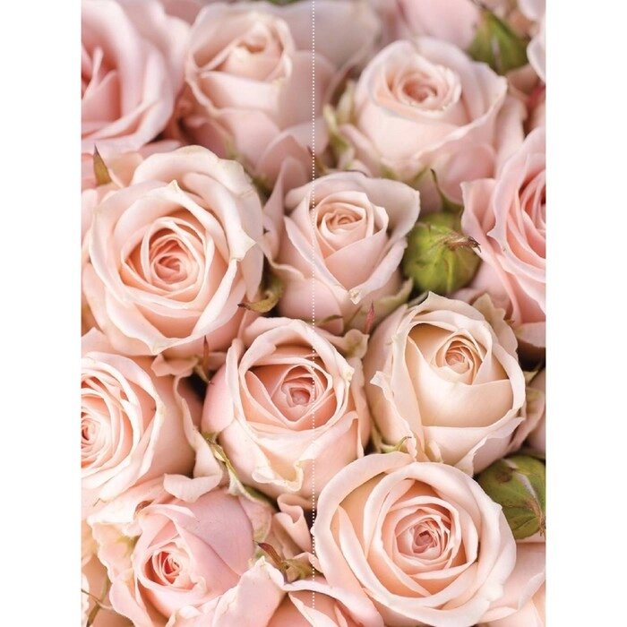 Фотообои флизелиновые Flizetto Matrix "Розовые розы" 200х270 см от компании Интернет-гипермаркет «MALL24» - фото 1