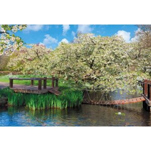 Фотообои "Мостик у цветущей вишни" M 629 (2 полотна), 200х135 см