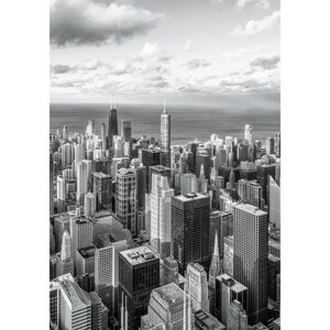Фотообои "Панорама Чикаго"4 листа) 140Х200 см