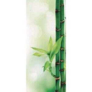 Фотообои "Росток бамбука" С-029 (1 полотно), 95x220 см