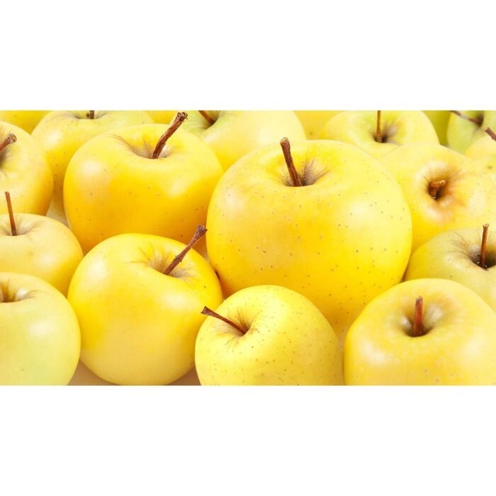 Фотообои "Желтые яблоки" 2-А-255 (1 полотно), 270x150 см от компании Интернет-гипермаркет «MALL24» - фото 1