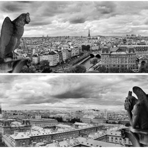 Фотосетка, 320 310 см, с фотопечатью, "Вид на Париж"