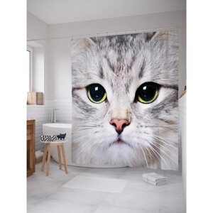 Фотоштора для ванной JoyArty "Серый кот", размер 180 х 200 см