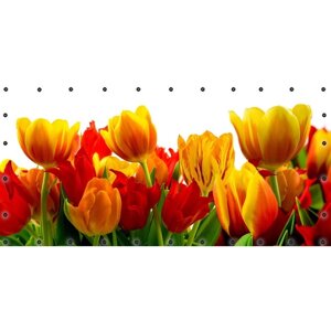ФС064-Л Фотосетка ART, ФС064-Л, "Крупные тюльпаны"с люверсами, 314х155 см