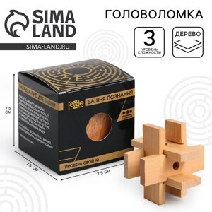 Головоломка деревянная Игры разума "Башня познания"