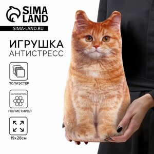 Игрушка-антистресс "Рыжий кот"