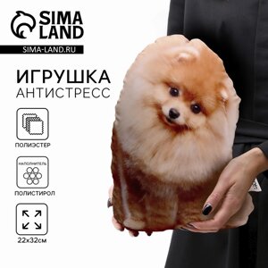 Игрушка антистресс "Шпиц"