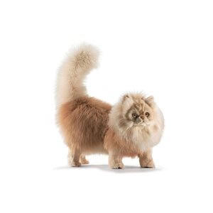 Игрушка "Персидский кот Табби рыже-белый, 45 см
