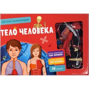 Интерактивная детская энциклопедия с магнитами "Тело человека"в коробке)