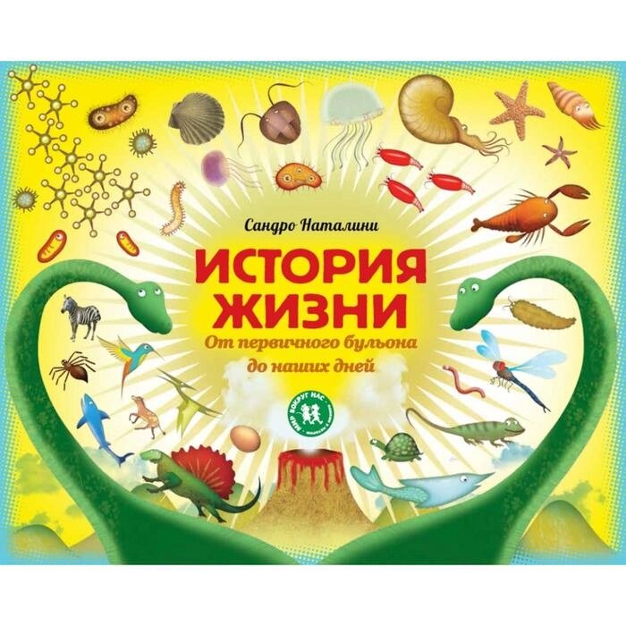 История жизни от первичного бульона до наших дней. Сандро Н. от компании Интернет-гипермаркет «MALL24» - фото 1