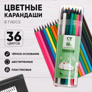 Карандаши 36 цветов в тубусе, шестигранные, пластиковые, черное основание