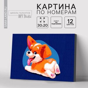 Картина по номерам на холсте с подрамником "Малыш Корги" 20х30 см