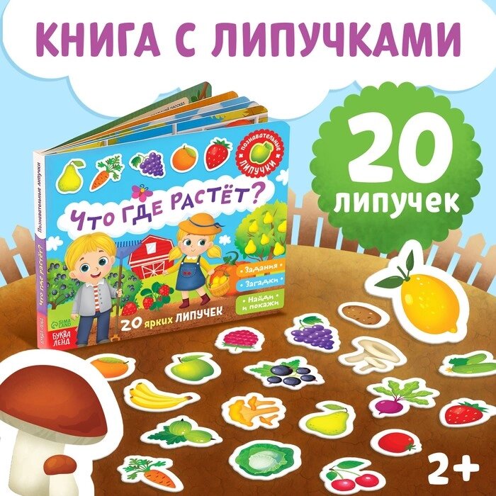 Книжка с липучками "Что где растёт?" 12 стр. от компании Интернет-гипермаркет «MALL24» - фото 1