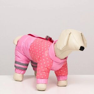 Комбинезон для собак с замком "Горошек", размер 14 (ДС 32 см, ОГ 42 см, ОШ 31 см), розовая