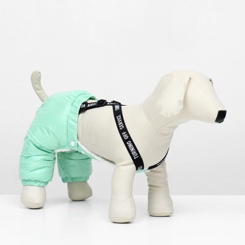 Комбинезон-штаны для собак, размер S (ДС 24, ОТ 34 см), мятный