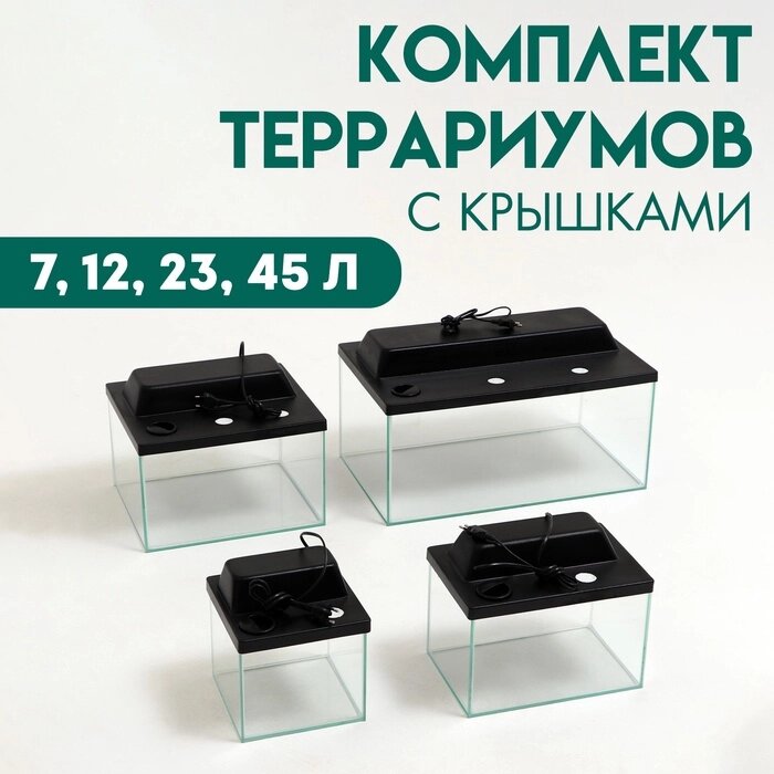 Комплект террариумов с крышками 7, 12, 23, 45 л от компании Интернет-гипермаркет «MALL24» - фото 1