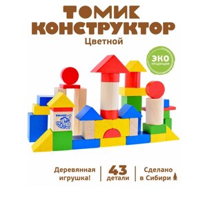 Конструктор "Цветной" 43 элемента