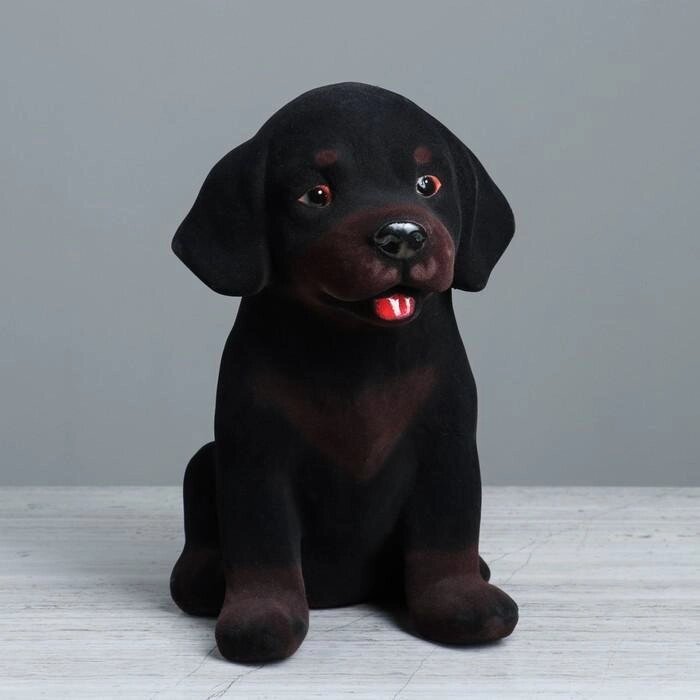 Копилка "Собака Ротвейлер", флок, чёрный цвет, 27 см от компании Интернет-гипермаркет «MALL24» - фото 1
