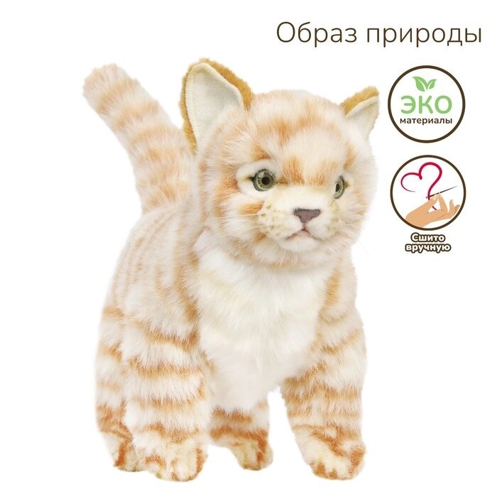 Котёнок стоящий рыжий, 30 см от компании Интернет-гипермаркет «MALL24» - фото 1