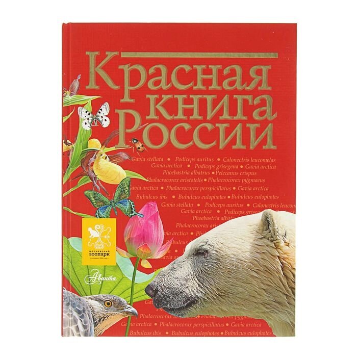 "Красная книга России", Пескова И. М., Дмитриева Т. Н., Смирнова С. В. от компании Интернет-гипермаркет «MALL24» - фото 1