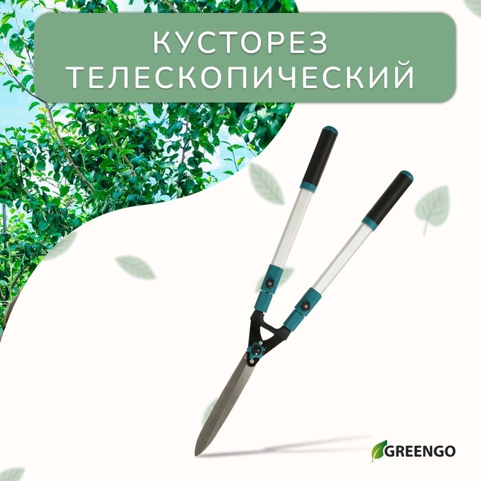 Кусторез, 31-44,5" (79 - 113 см), с телескопическими ручками от компании Интернет-гипермаркет «MALL24» - фото 1