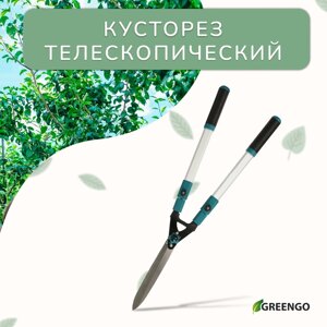 Кусторез, 31-44,5"79 - 113 см), с телескопическими ручками