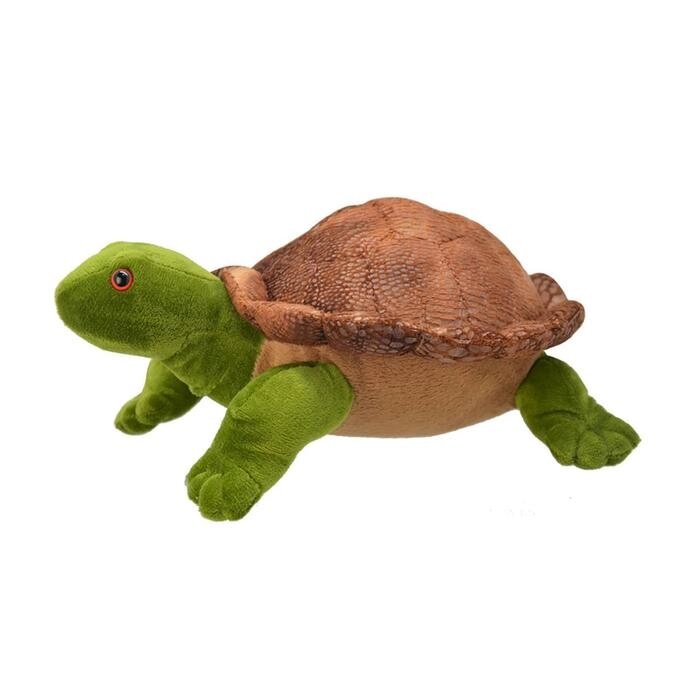 Мягкая игрушка "Черепаха" 25 см от компании Интернет-гипермаркет «MALL24» - фото 1