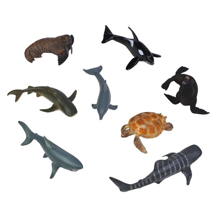 Набор фигурок: касатка, 3 акулы, морж, дельфин, черепаха, тюлень 8 фигурок животных от компании Интернет-гипермаркет «MALL24» - фото 1