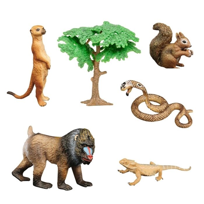Набор фигурок "Мир диких животных": мандрил, кобра, сурикат, варан, белка, 6 предметов от компании Интернет-гипермаркет «MALL24» - фото 1