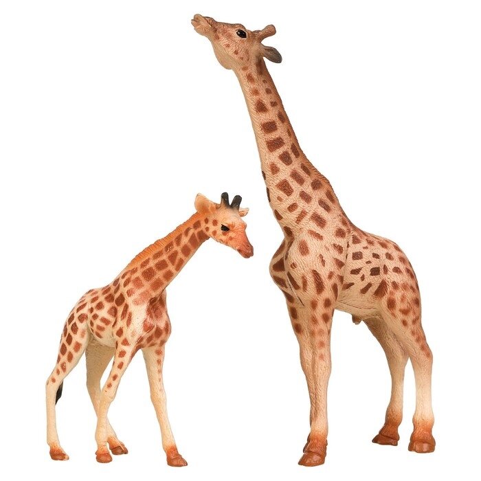 Набор фигурок "Мир диких животных": семья жирафов, 2 предмета от компании Интернет-гипермаркет «MALL24» - фото 1