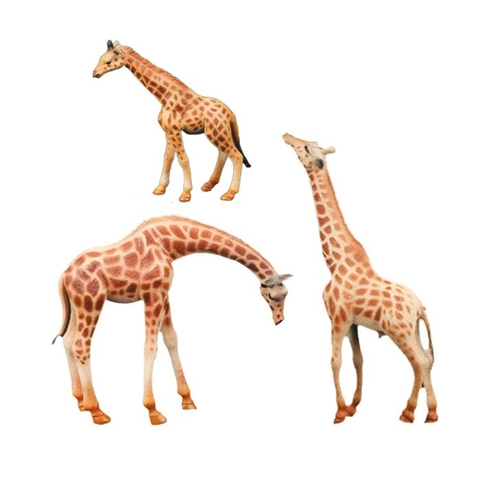 Набор фигурок "Мир диких животных": семья жирафов, 3 предмета от компании Интернет-гипермаркет «MALL24» - фото 1