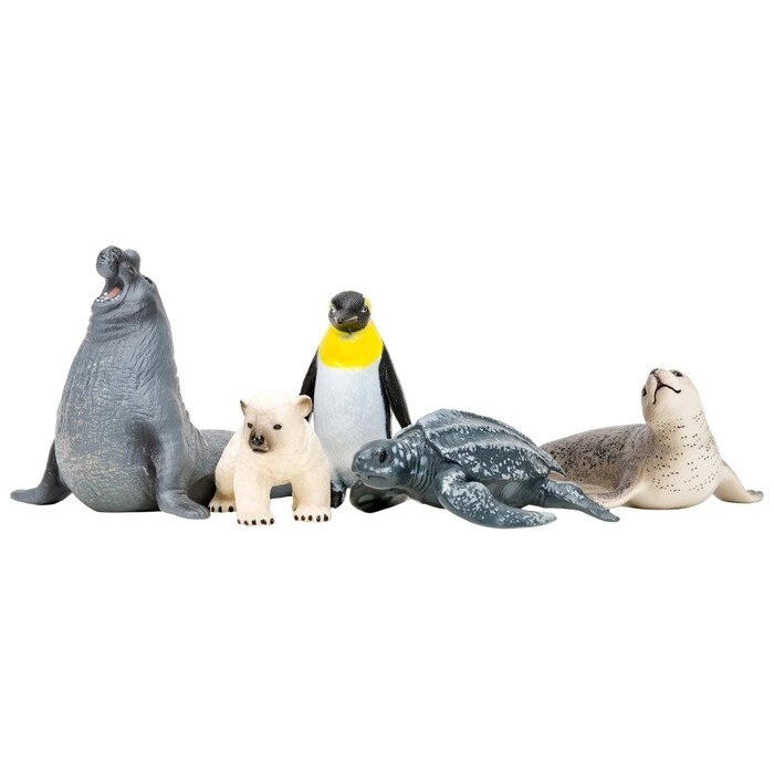 Набор фигурок: тюлень, белый медвежонок, пингвин, черепаха, морской слон, 5 предметов от компании Интернет-гипермаркет «MALL24» - фото 1
