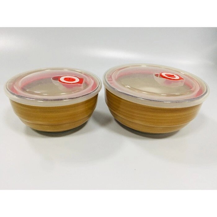 Набор из 2 салатников с пластиковыми крышками Elrington "Аэрограф песок" от компании Интернет-гипермаркет «MALL24» - фото 1