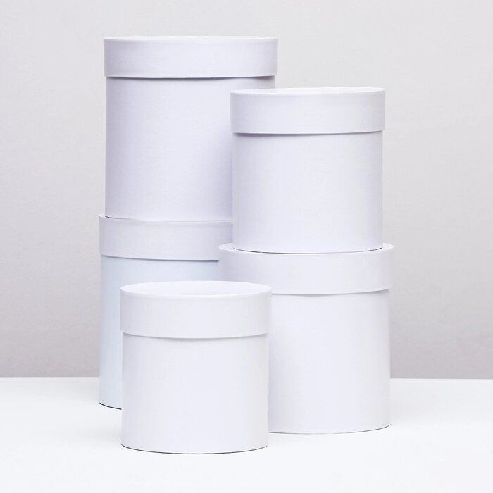 Набор круглых коробок 5в1 "Белизна перламутровая", 20  20 ‒15  15 см от компании Интернет-гипермаркет «MALL24» - фото 1