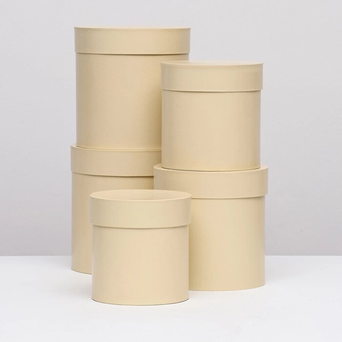 Набор круглых коробок 5в1 "Ваниль перламутровая", 20  20 ‒15  15 см от компании Интернет-гипермаркет «MALL24» - фото 1