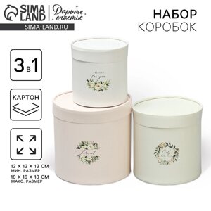 Набор шляпных коробок 3 в 1 "Эко", 13 х 13 - 18 х 18 см